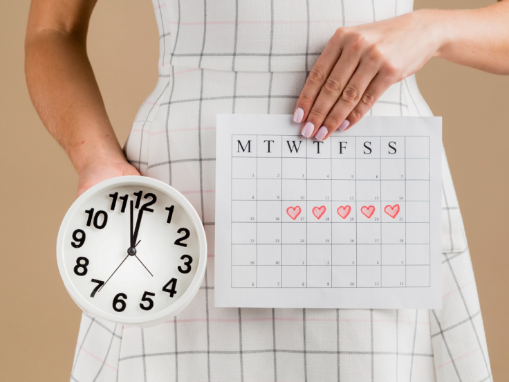 Menstrual Cycle Calendar