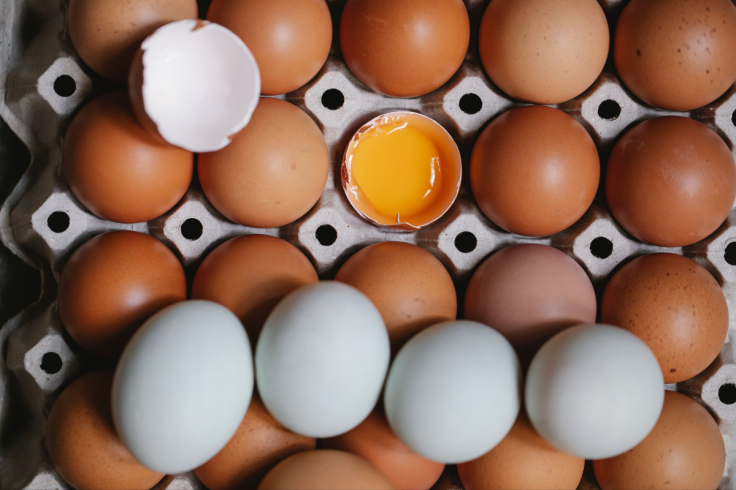 Egg safety remains a public health concern
