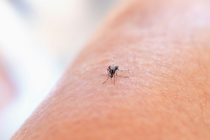 Dengue prevention starts with mosquito bite protection