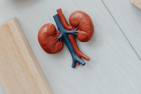 Mysterious kidney disease strikes healthy Texas outdoor workers