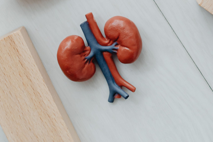 Kidney disease