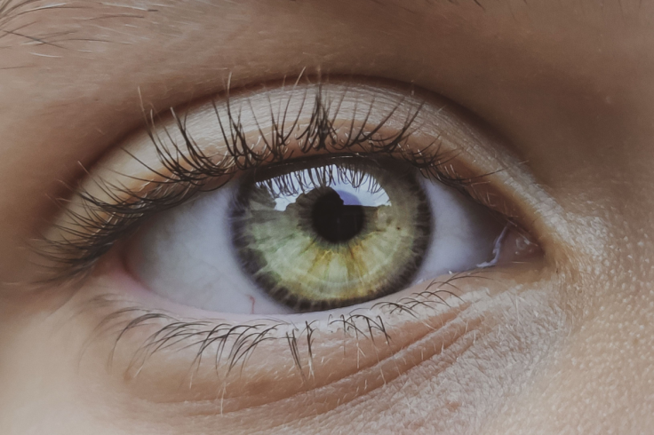 Tick found in boy’s eye
