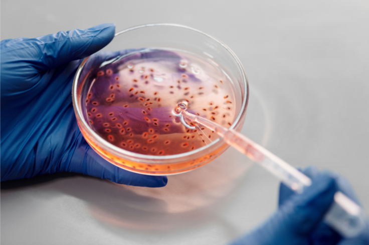 Stem Cell Therapy Research