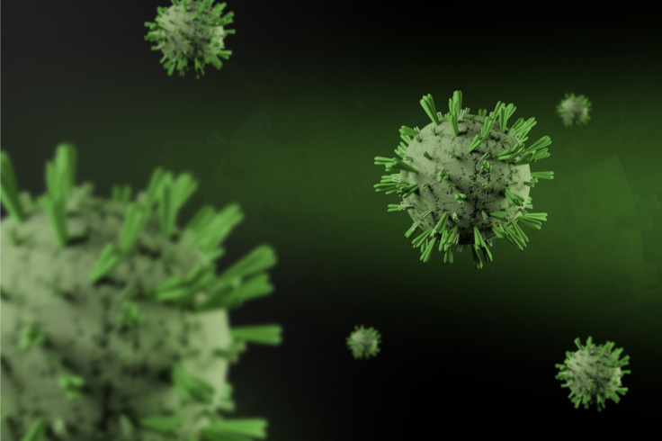 Powassan Virus Under The Microscope