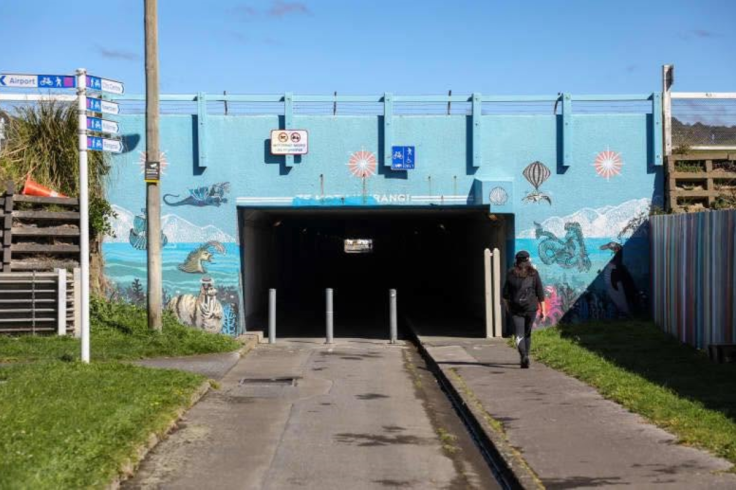 wellington tunnel