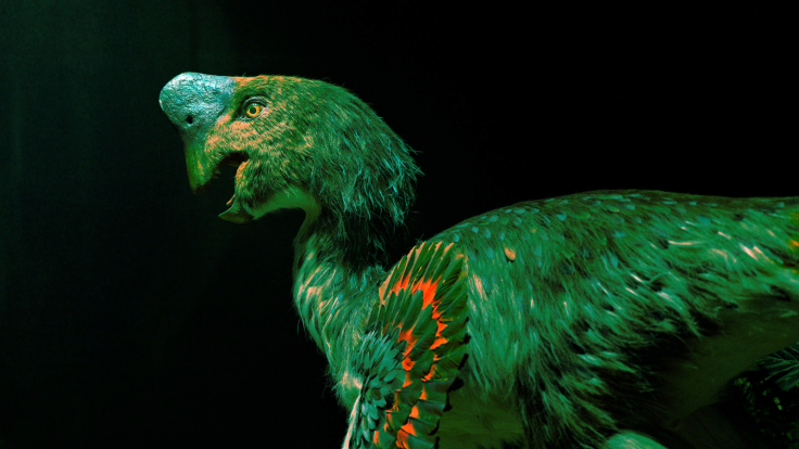 Flying green dinosaur