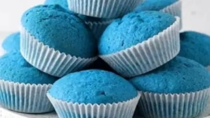 Blue Muffin Gut Transit Test