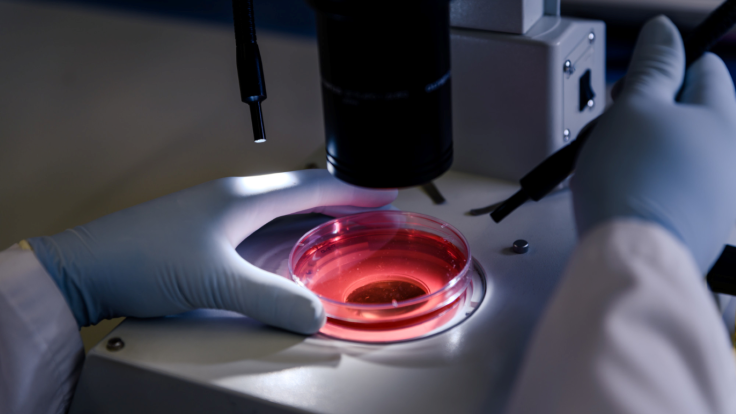 lab test